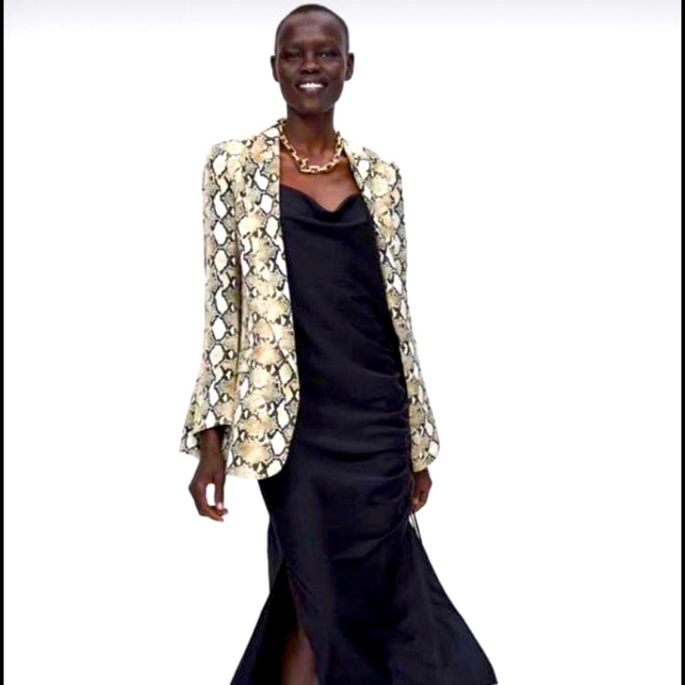 Zara Snakeprint Blazer